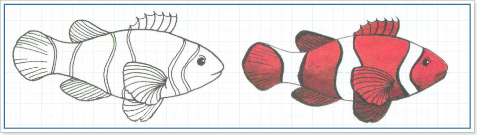 рисуем рыбку клоуна